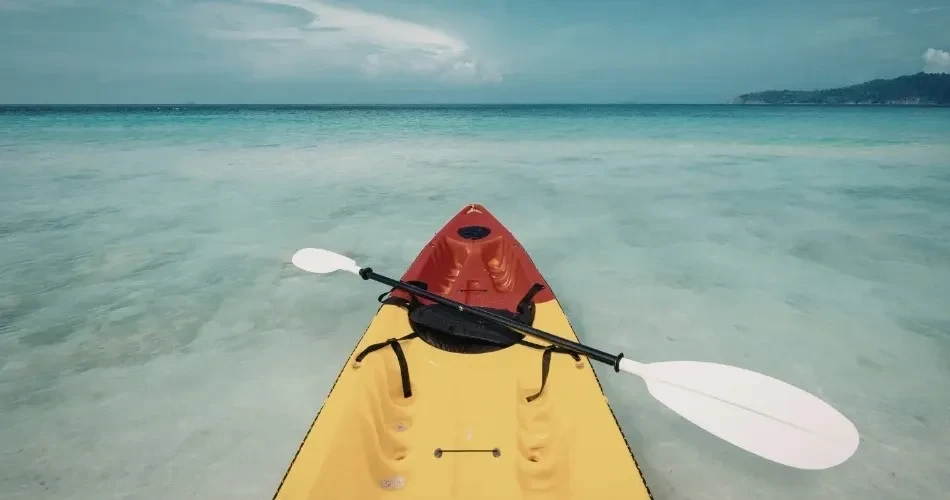 Oceanside Coastal Adventure Guide: Surf, Kayak, Hike & Discover