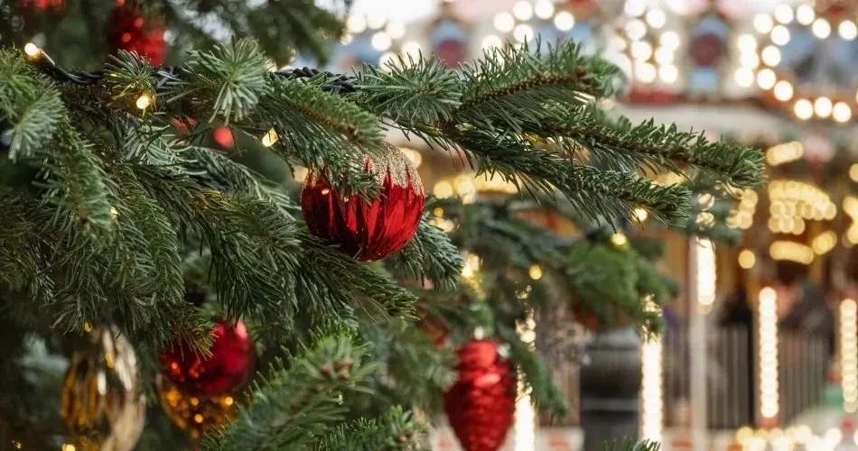 Oceanside, California Seasonal Festivals Guide: Best Time to Visit & Events